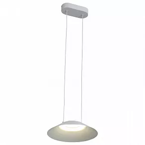 Подвесной светильник ST-Luce Pitto SL427.503.01