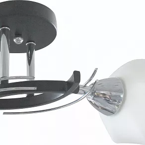 Светильник на штанге TopLight Lia TL7380X-02BC