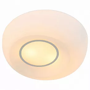 Накладной светильник ST-Luce Botone SL467.502.02