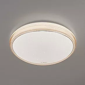 Накладной светильник Elektrostandard 40008 a041564