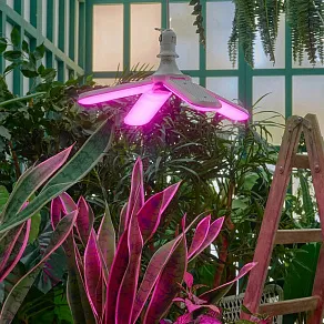 Лампа светодиодная Uniel  E27 32Вт K UL-00007408