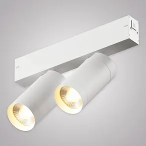 Светильник на штанге AM-Group SMART CYLINDER AM528 WH-220V-2X10W SMART