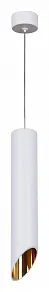Подвесной светильник Reluce Technical 16007 16007-0.9-001LD 300mm GU10 WT+GD