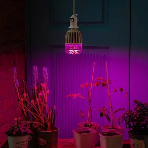 Лампа светодиодная Uniel LED-M80 E27 20Вт K 11098