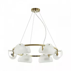 Подвесная люстра Lumion Fioro 6571/6