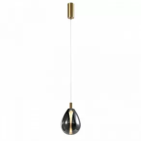 Подвесной светильник Favourite Hopper 4255-2P