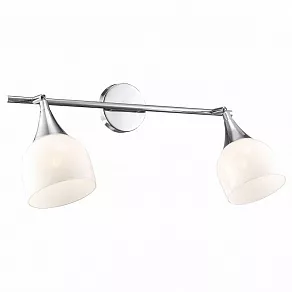 Спот Arte Lamp Trumpet A9556AP-2CC