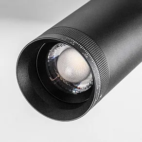 Светильник на штанге Lightstar Teta 205007