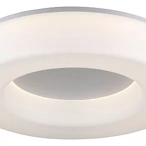 Накладной светильник ST-Luce Lordin SL886.512.01