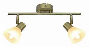 Спот Arte Lamp Parry A5062AP-2AB