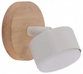 Спот Rivoli Vivian 7078-701