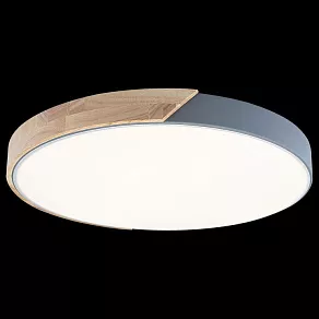 Накладной светильник Loft it Axel 3 10004/36 Grey
