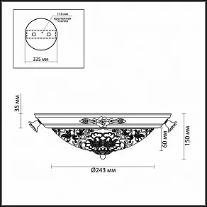 Накладной светильник Odeon Light Bone 2692/2C