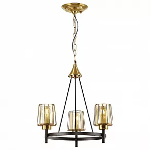Подвесная люстра Odeon Light Dogana 4656/3