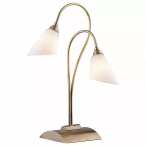 Настольная лампа декоративная Odeon Light Hedys 1375/2T