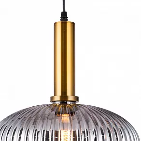 Подвесной светильник TopLight Pamella TL1224H-01SM