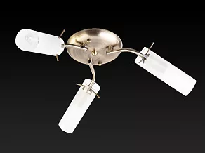 Потолочная люстра TopLight Brittany TL7130X-03AB