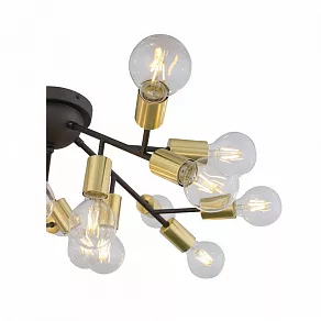 Потолочная люстра ST-Luce Foglione SL437.402.20