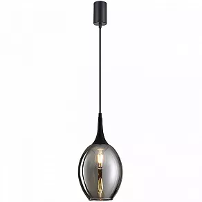 Подвесной светильник F-promo Dubbel 4361-1P