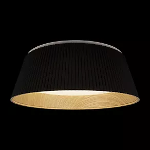 Накладной светильник Loft it Evans 10224 Black