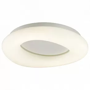 Накладной светильник Odeon Light Aura 4064/40CL