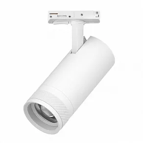 Светильник на штанге Lightstar Canno Pro C4206SS