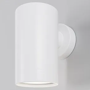 Светильник на штанге Maytoni Clyde O493WL-01W