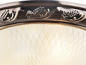 Накладной светильник Arte Lamp Alta A3019PL-2AB