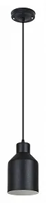 Подвесной светильник Arte Lamp Lark A7073SP-1BK