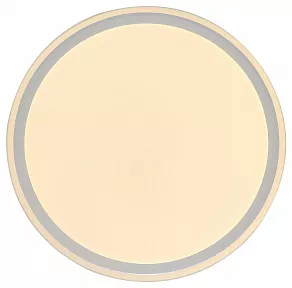 Накладной светильник Zortes BELLA ZRS.1200.07