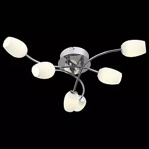 Потолочная люстра ST-Luce Luna SL478.102.06