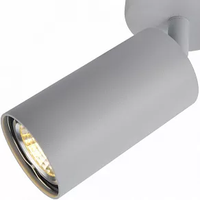 Спот Arte Lamp 3216 A3216PL-1GY