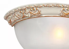 Накладной светильник Favourite Plafond 1446-1W