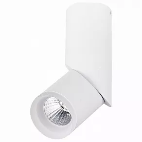 Спот ST-Luce Tortelle ST107.542.10