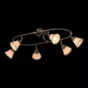 Спот Citilux Прованс CL511163