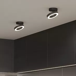 Накладной светильник Elektrostandard Spila 25105/LED