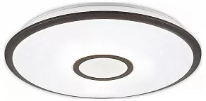 Накладной светильник Citilux Старлайт Смарт CL703A65G