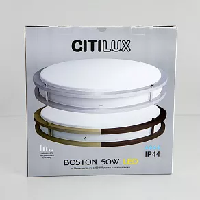 Накладной светильник Citilux Бостон CL709503N