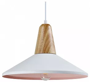 Подвесной светильник Moderli Luce V1570-1P