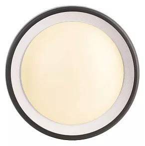 Накладной светильник Deko-Light Canis 731043