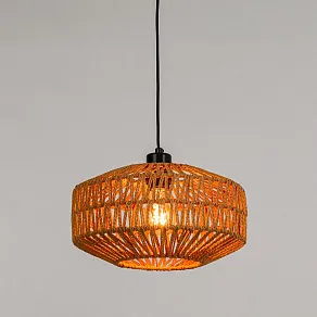 Подвесной светильник Arte Lamp BRUSHWOOD A7087SP-1BK