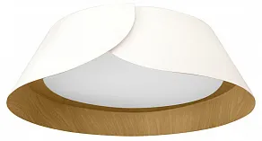 Накладной светильник Loft it Lane 10370 White
