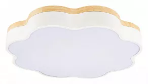 Накладной светильник Loft it Axel 10225/36 White