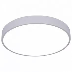 Накладной светильник Arte Lamp Arena A2661PL-1WH