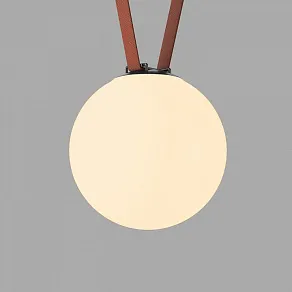 Накладной светильник Denkirs Belty Orb DK5555-BK