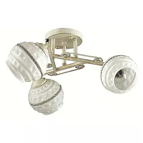 Потолочная люстра Lumion Tatina 3119/3C
