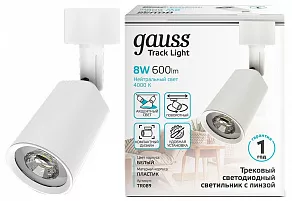 Светильник на штанге Gauss TR090 TR089