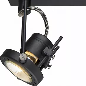 Спот Arte Lamp Costruttore A4300AP-2BK