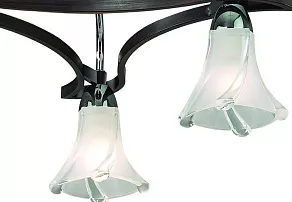 Потолочная люстра Odeon Light Iwo 2237/3С