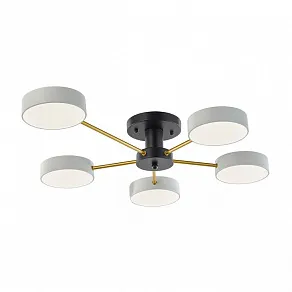 Потолочная люстра Arte Milano Ferrara 252006/5 Bk/Wh